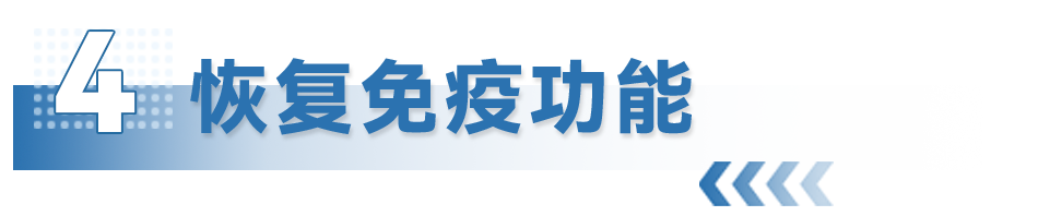 13.png