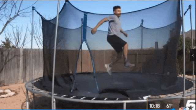 4.gif