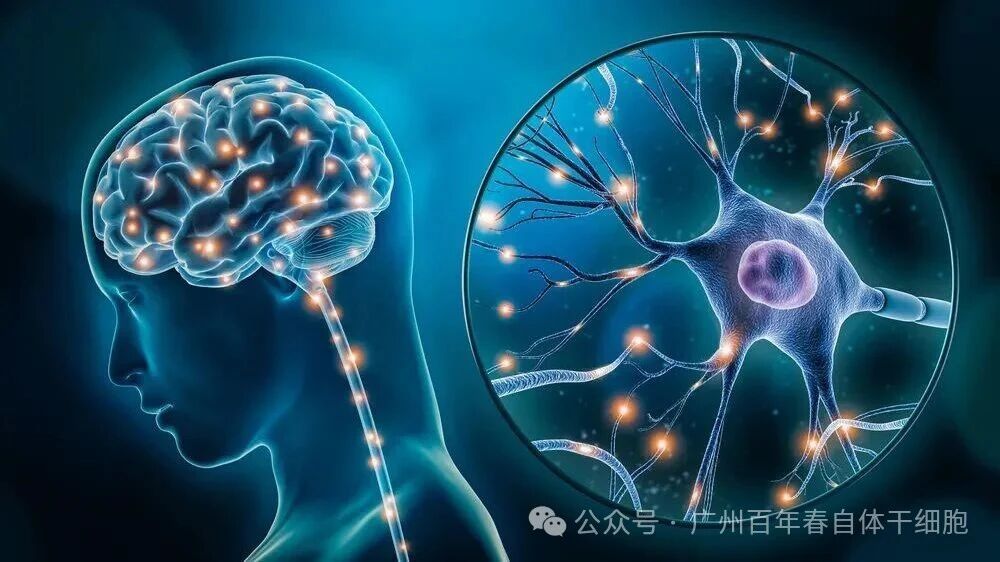 微信图片_2026-01-17_165018_990.jpg